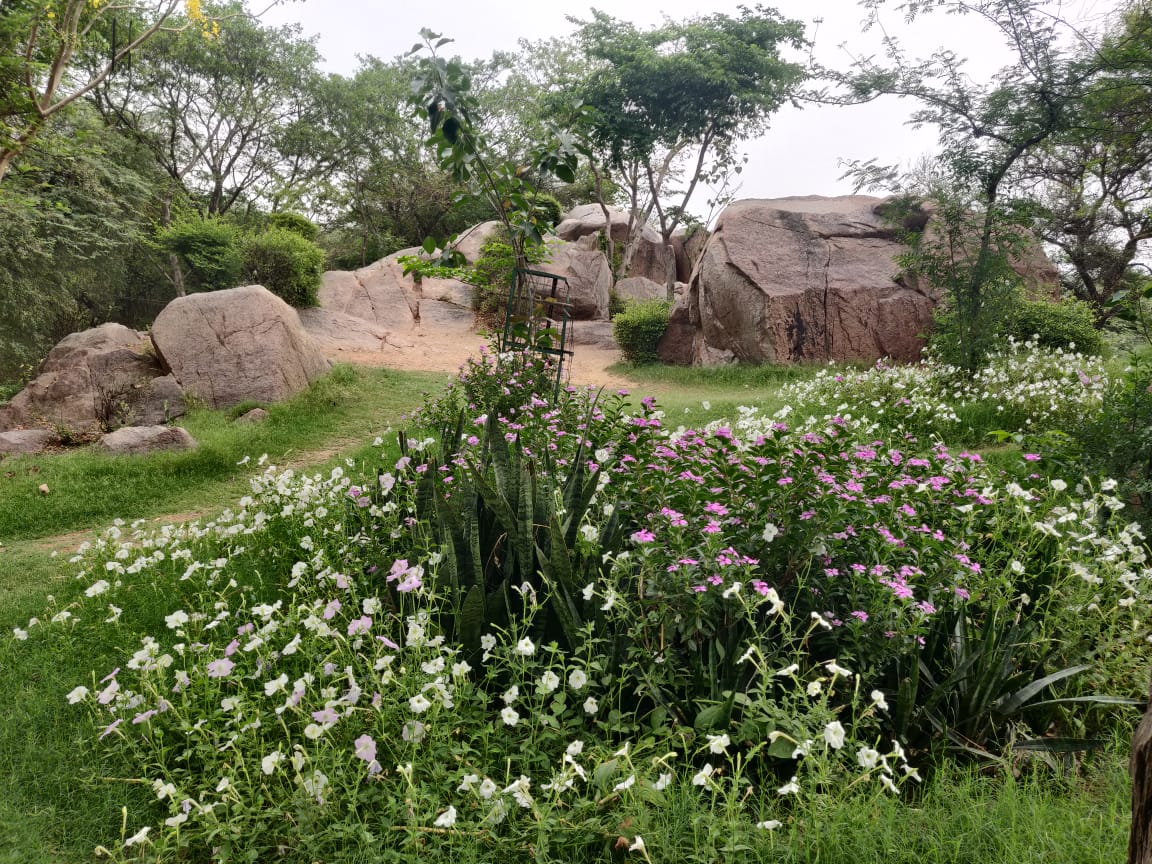 Park And Gardens DDA